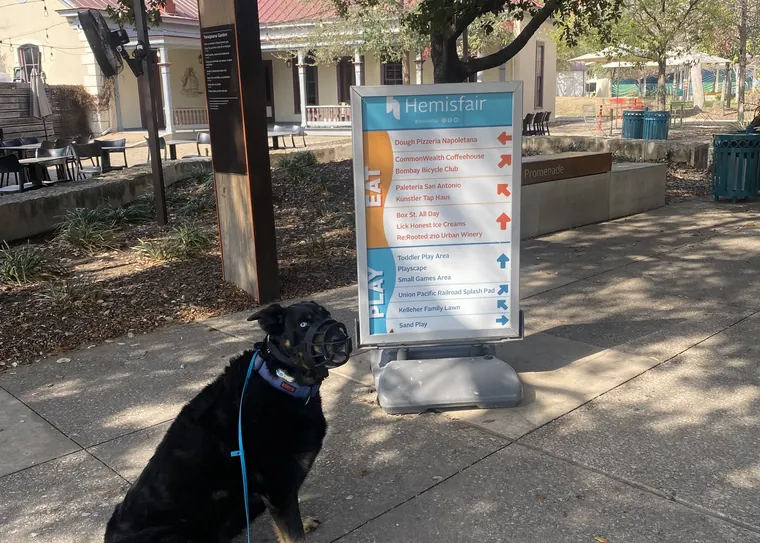 A dog holding a sit beside a park sign